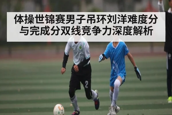 体操世锦赛男子吊环刘洋难度分与完成分双线竞争力深度解析