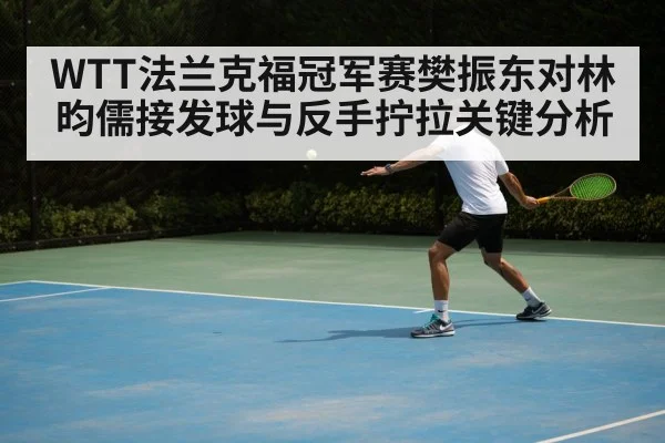WTT法兰克福冠军赛樊振东对林昀儒接发球与反手拧拉关键分析